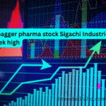 Multibagger pharma stock Sigachi Industries hits